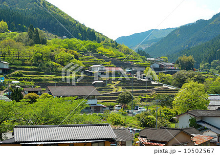 湯の児温泉 湯の児温泉 10502567