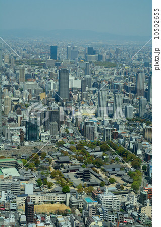 あべのハルカス（四天王寺） 10502655