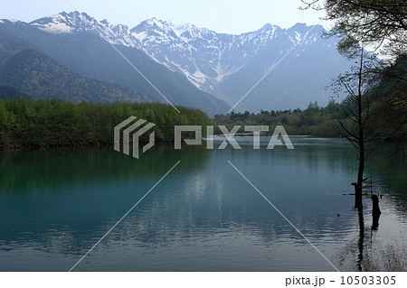 上高地　大正池と穂高連峰 10503305