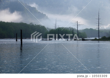 上高地　大正池 10503309