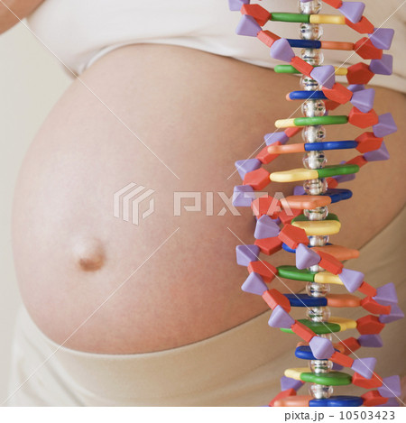 Pregnant woman next to DNA model Pregnant woman next to DNA model 10503423