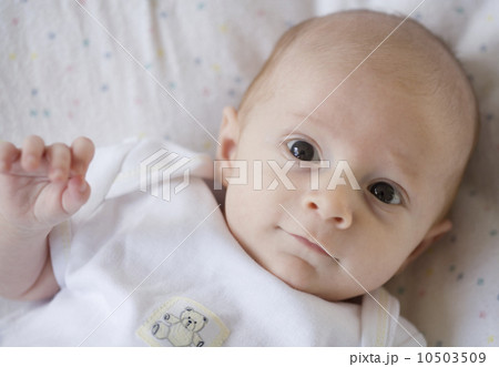 High angle view of baby High angle view of baby 10503509