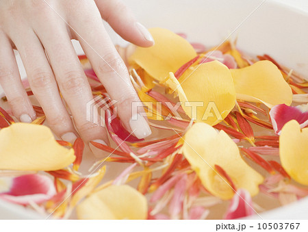 Woman with hand in bowl of water and flower petals 10503767