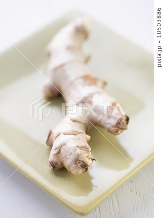 Closeup of ginger root Closeup of ginger root 10503886
