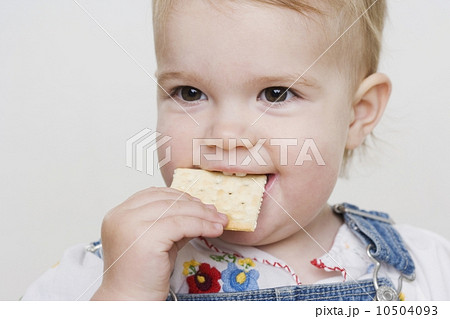 Female toddler eating a cracker Female toddler eating a cracker 10504093