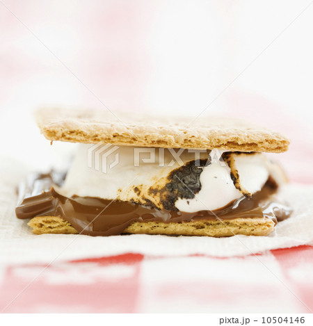 Close up of smores 10504146