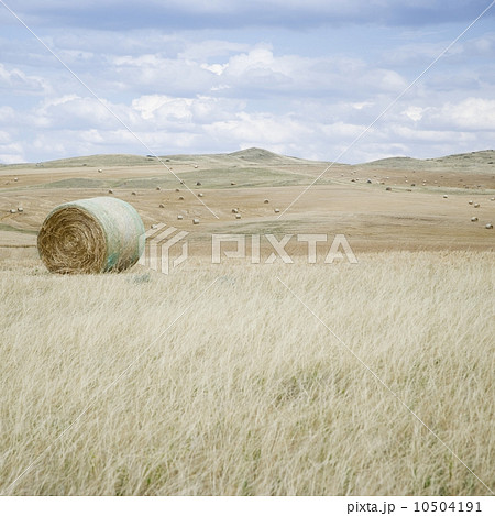 Hay bales southern Montana USA 10504191