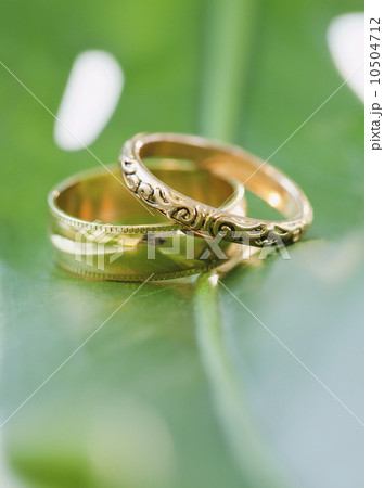 Two wedding rings on leaf 10504712