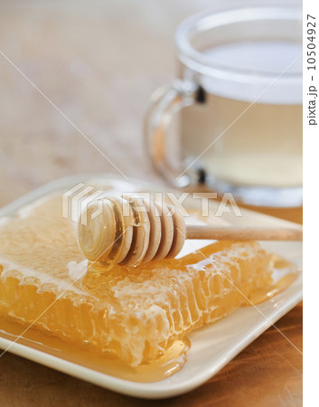 Close up of fresh honeycomb Close up of fresh honeycomb 10504927