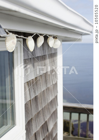 Shell decoration hanging on summer house on coast 10505520