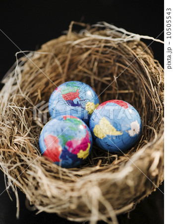 Small globes in a bird nest 10505543