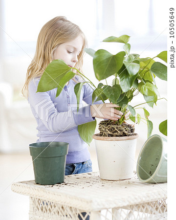 Girl repotting plant Girl repotting plant 10505649