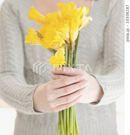 Woman holding bunch of daffodils 10506287