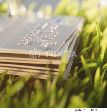 Credit cards on grass Credit cards on grass 10506605