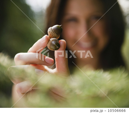 Roaring Brook Lake, Close up of woman's hand holding acorns 10506666