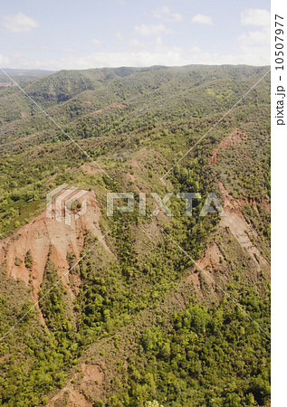 Elevated view of canyon Elevated view of canyon 10507977