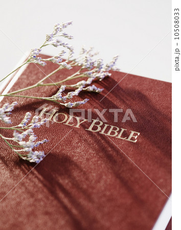 Bible and stem of lavender 10508033