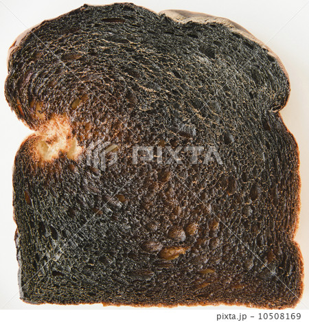 Close up of burnt toast Close up of burnt toast 10508169