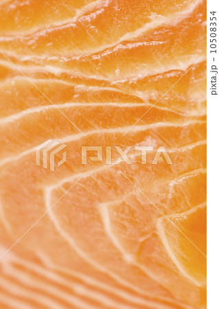 Close up of salmon meat, studio shot 10508354