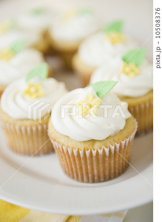 close up cupcakes 10508376