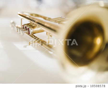 Trumpet 10508578