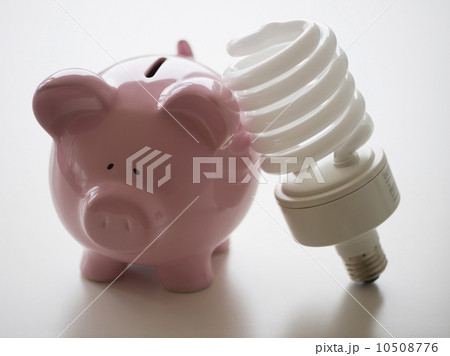 Still life with piggy bank and energy efficient light bulb Still life with piggy bank and energy efficient light bulb 10508776