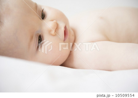 Portrait of baby girl (6-11 months) lying down 10509554