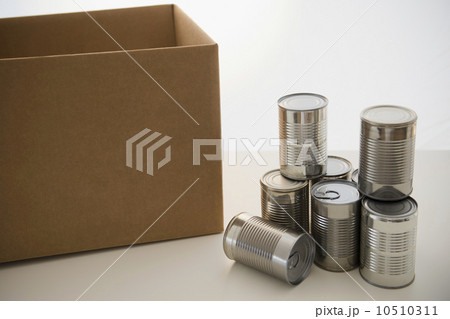 Tin cans and cardboard box Tin cans and cardboard box 10510311