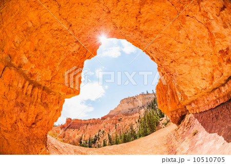 View of natural arch 10510705
