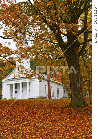 Church in Autumn Church in Autumn 10511207