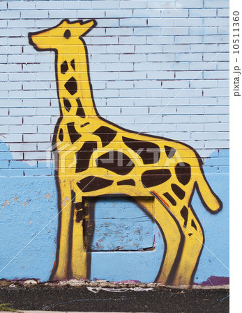 Graffiti drawing of an elephant 10511360