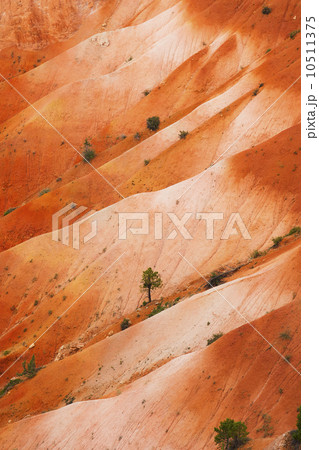 Elevated view of barren land 10511375