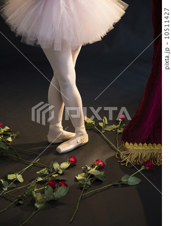 Teenage (16-17) ballerina on stage, roses by her feet Teenage (16-17) ballerina on stage, roses by her feet 10511427