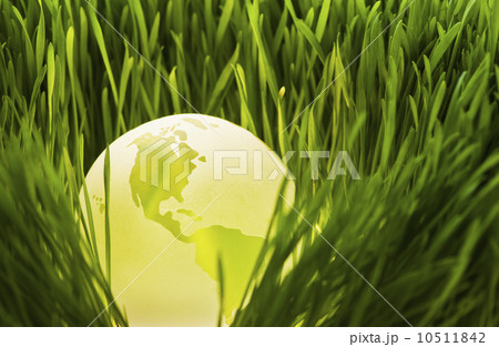 USA, New Jersey, Jersey City, Close-up view of illuminated green globe in grass USA, New Jersey, Jersey City, Close-up view of illuminated green globe in grass 10511842