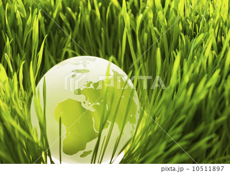 USA, New Jersey, Jersey City, Close-up view of illuminated green globe in grass USA, New Jersey, Jersey City, Close-up view of illuminated green globe in grass 10511897
