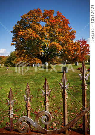 Graveyard Graveyard 10512023