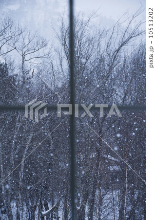 USA, Maine, Camden, window overlooking snowy forest USA, Maine, Camden, window overlooking snowy forest 10513202