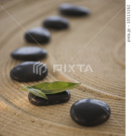 Spa stones Spa stones 10513262