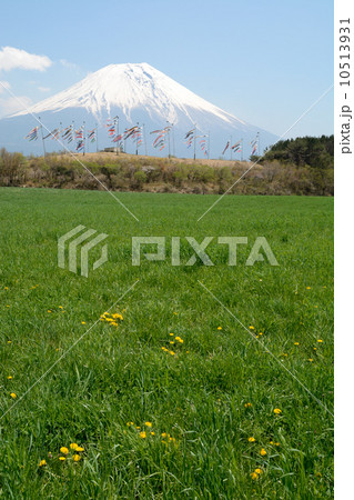 富士山と鯉のぼり 10513931