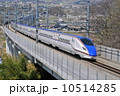 長野新幹線　Ｅ7系 10514285