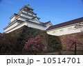 会津若松城　（鶴ヶ城） 10514701