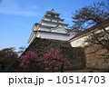 会津若松城　（鶴ヶ城） 10514703