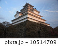 会津若松城　（鶴ヶ城） 10514709