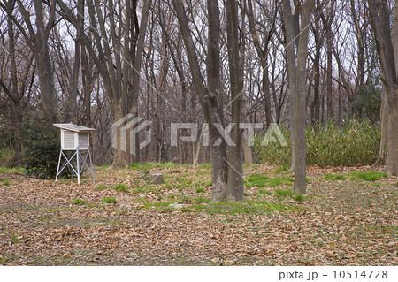 百葉箱・ひゃくようそう 百葉箱・ひゃくようそう 10514728