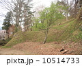 猪苗代城　（亀ヶ城） 10514733