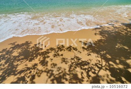 Nice beach with sea foam background 10516072