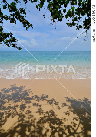 Nice beach with sea background 10516073