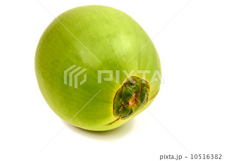 Coconut isolated Coconut isolated 10516382