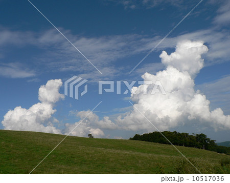 牧場の入道雲１ 10517036