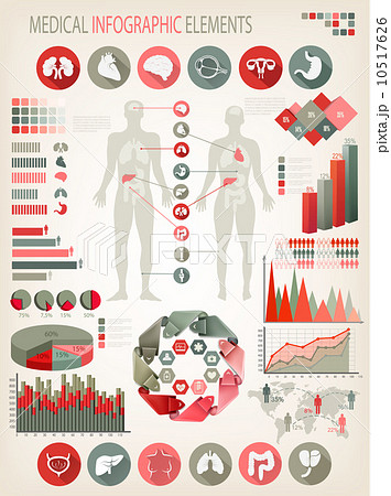 Medical infographics elements. Human body with internal organs. 10517626